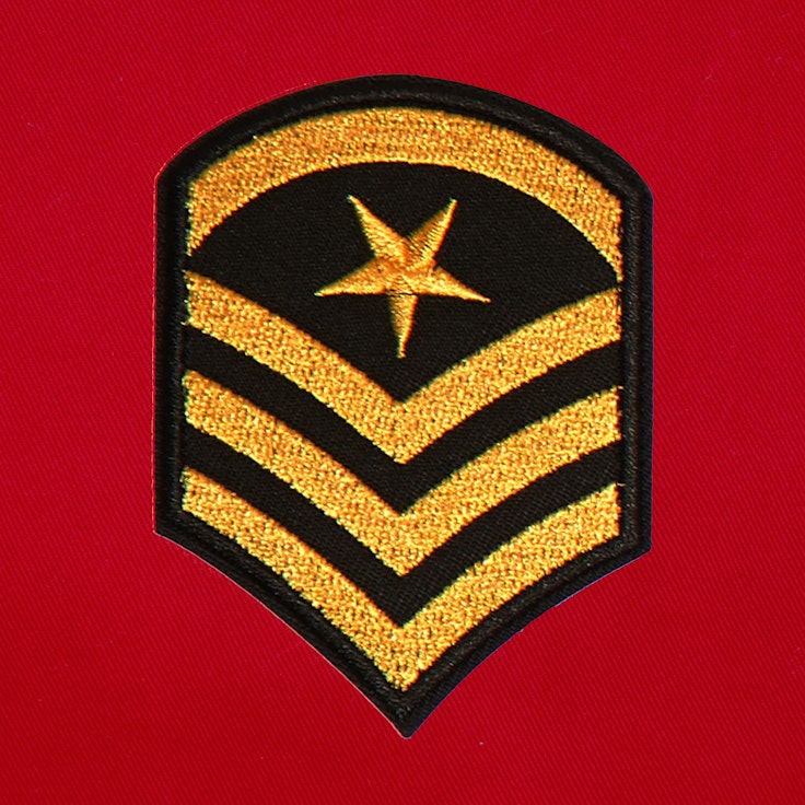 Badge Officer - 222