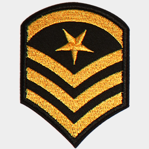 Badge Officer - 222