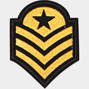 Badge Officer 3 - 224