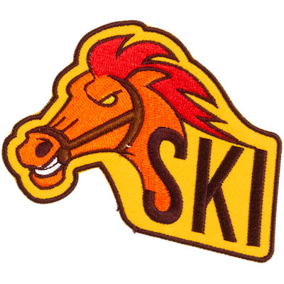 Strykestæsj Bybadge - Ski