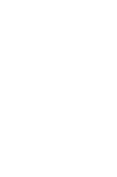 Strykestæsj Strykesett D