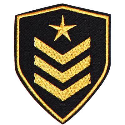 Strykestæsj Badge Officer 2 - 223
