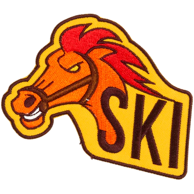 Strykestæsj Bybadge - Ski